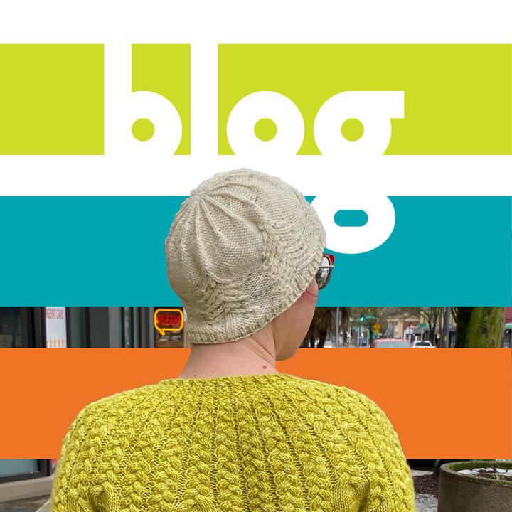 graphic with green, turquoise, and orange stripes with the word "blog" and a photo of Lee's back with a knit sweater and knit hat